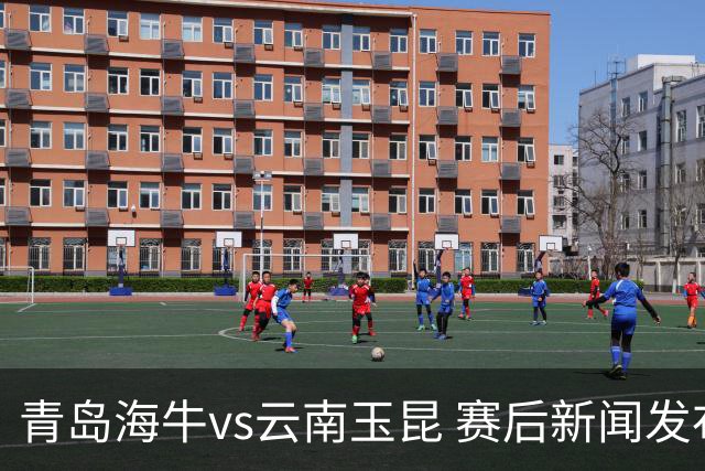 青岛海牛vs云南玉昆 赛后新闻发布会